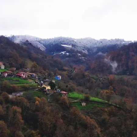 Gospodarstwo wiejskie La Faya - La Vallicuerra Rurales